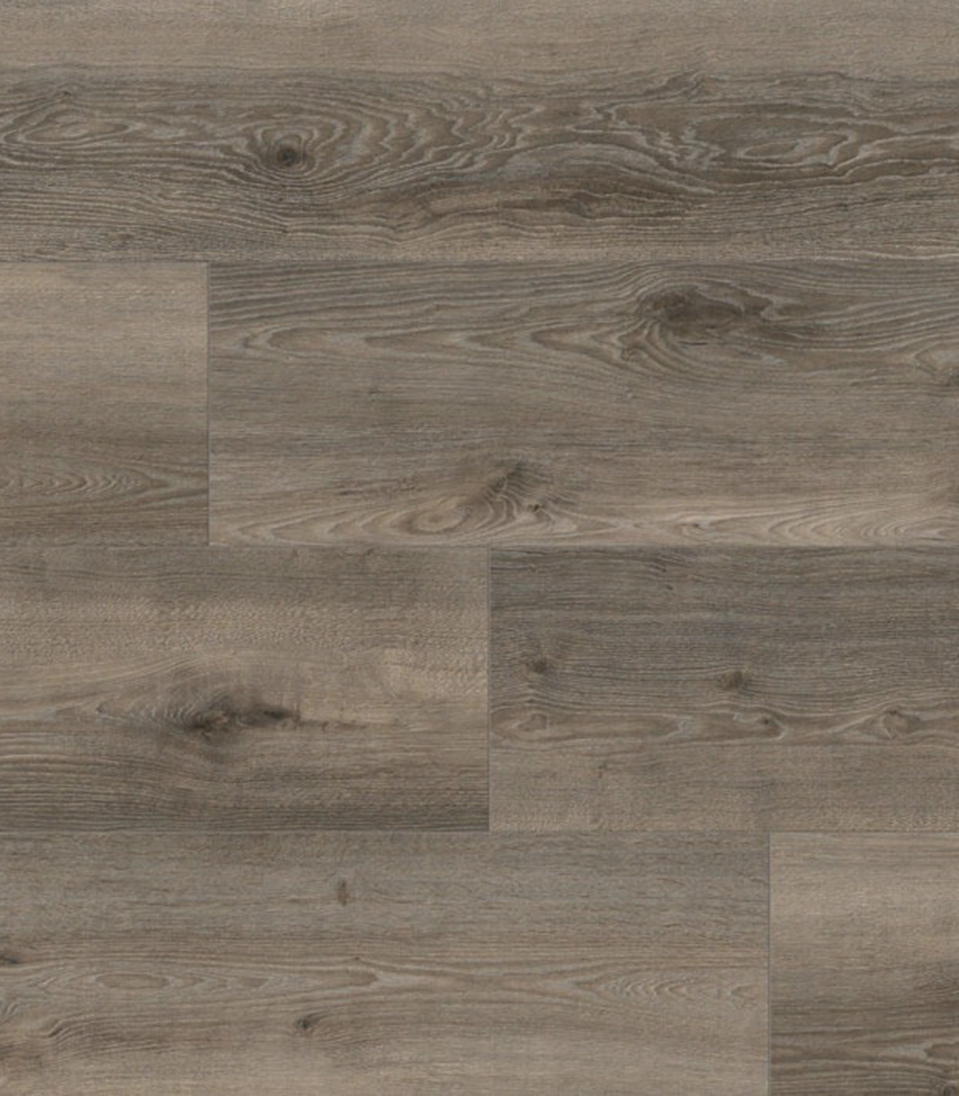 k415-aeolus-oak-1 copy